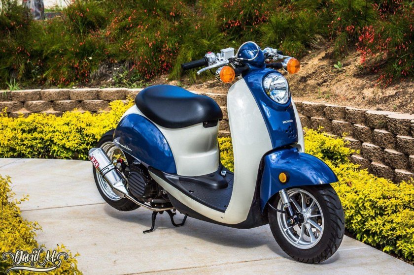 Honda scoopy 50