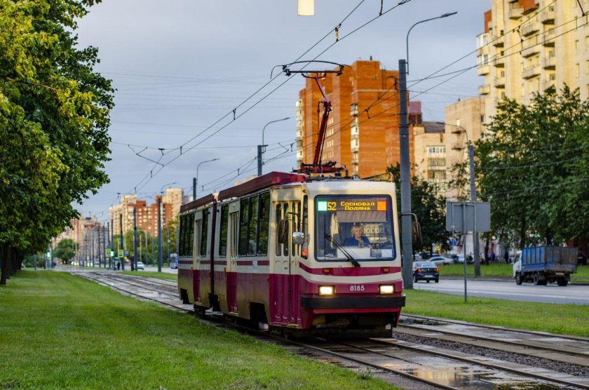 Трамвай тс-77 санкт-петербург