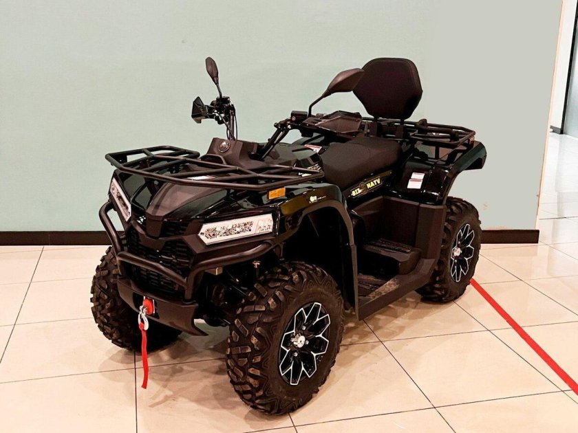 Квадроцикл бизон 450