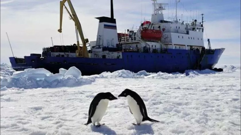 Корабль академик Шокальский