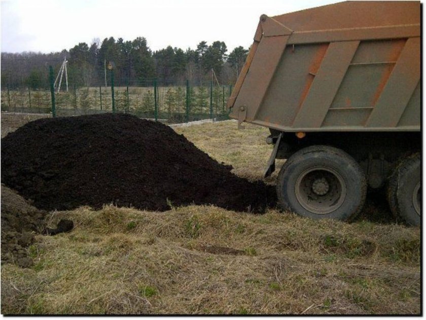 Чернозём перегной навоз КАМАЗ
