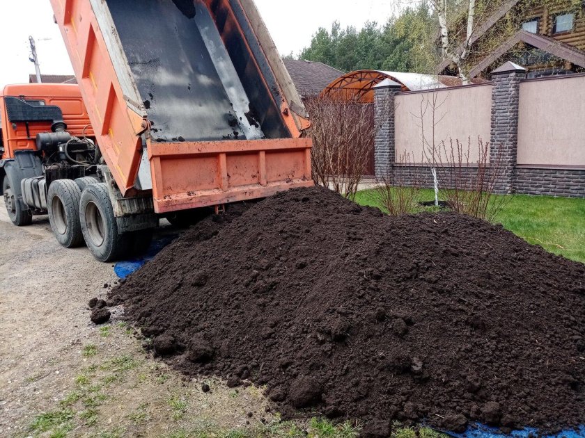 КАМАЗ С навозом