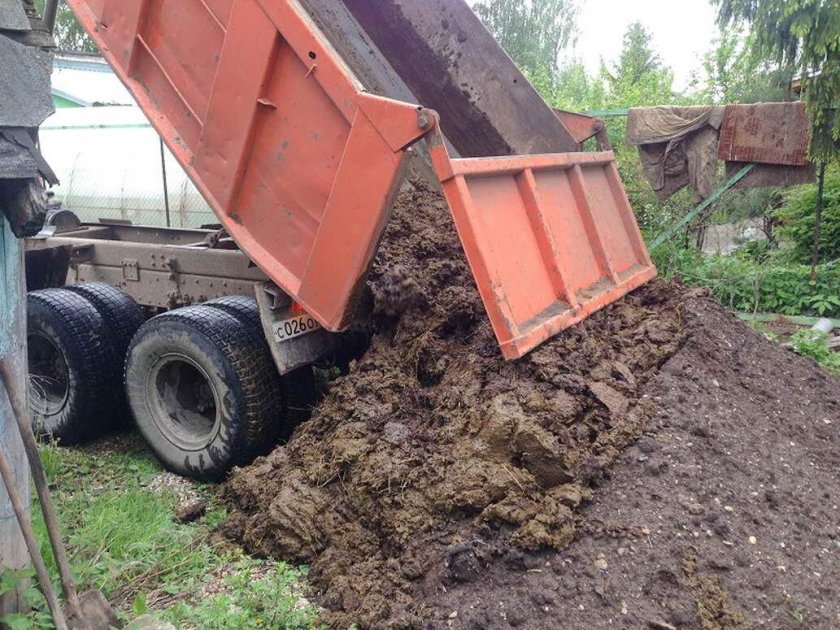 КАМАЗ конский перегной
