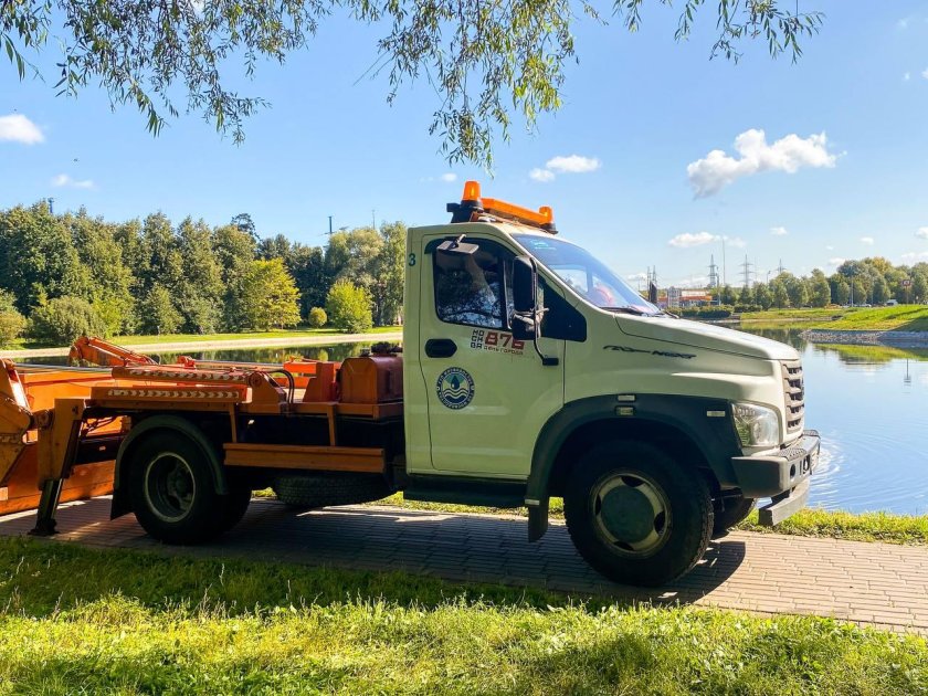 Кот на спецтехнике