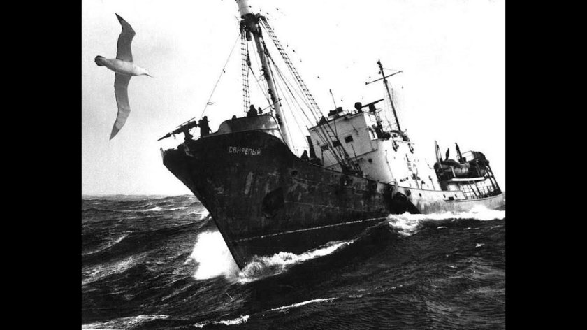 Китобойная флотилия Юрий Долгорукий