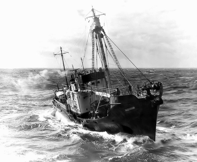 Советская Китобойная флотилия