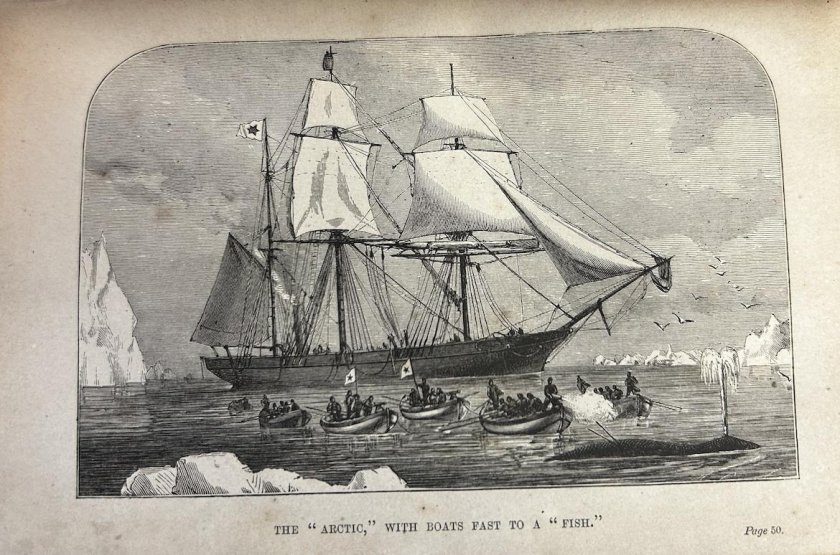 Китобойное судно 19 века