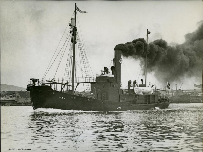 Китобойный флот