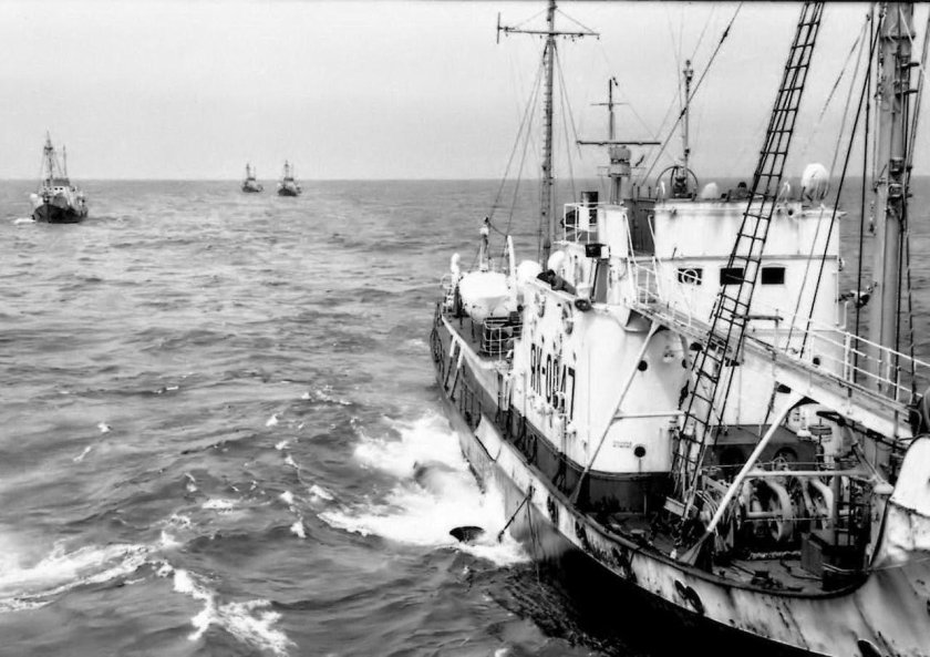 Китобойный траулер