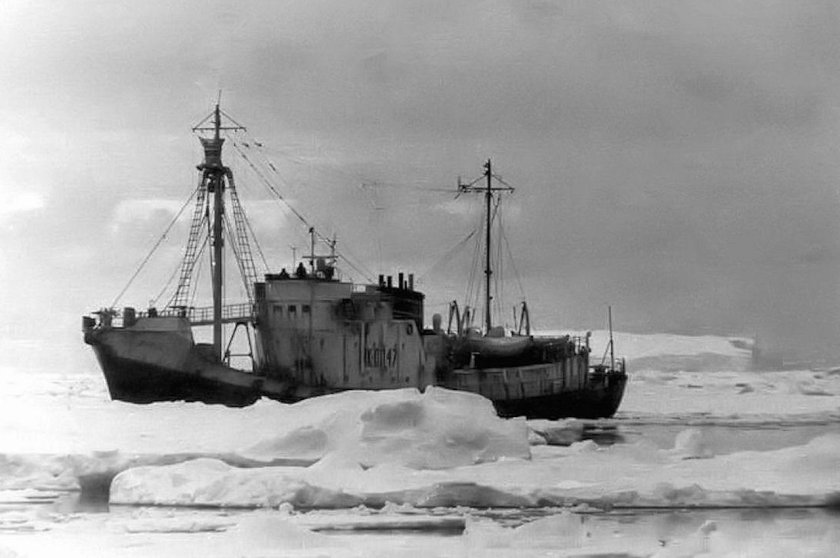 Китобойная флотилия Алеут