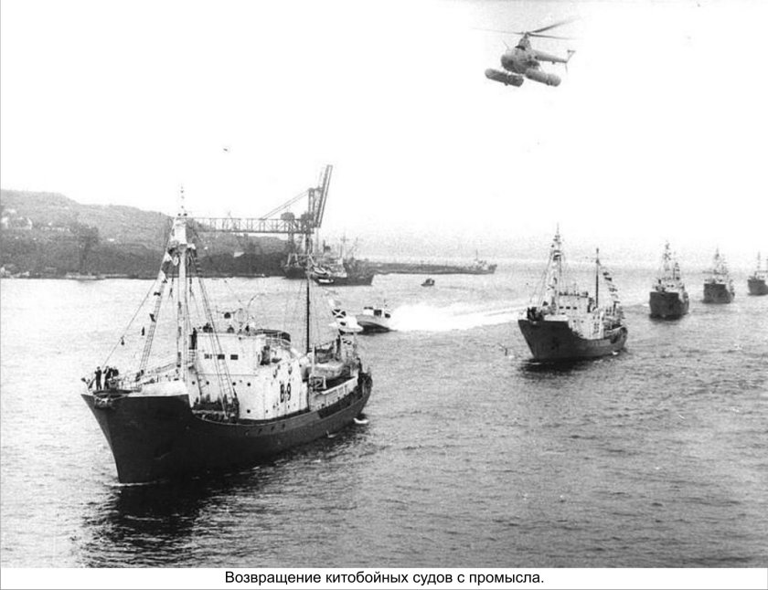 Китобойная плавбаза Советская Россия