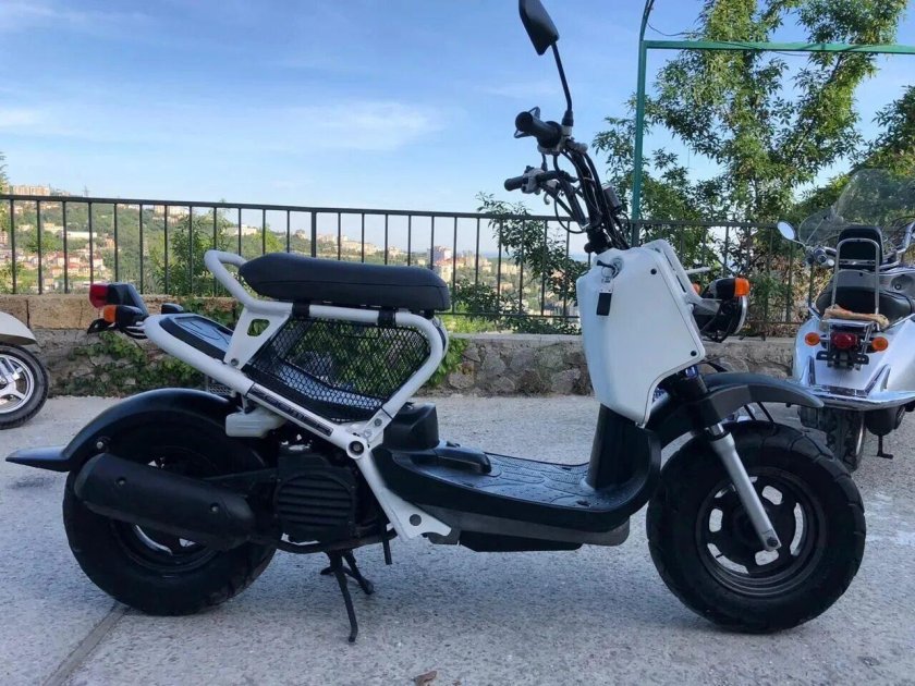 Honda zoomer 50 кубов