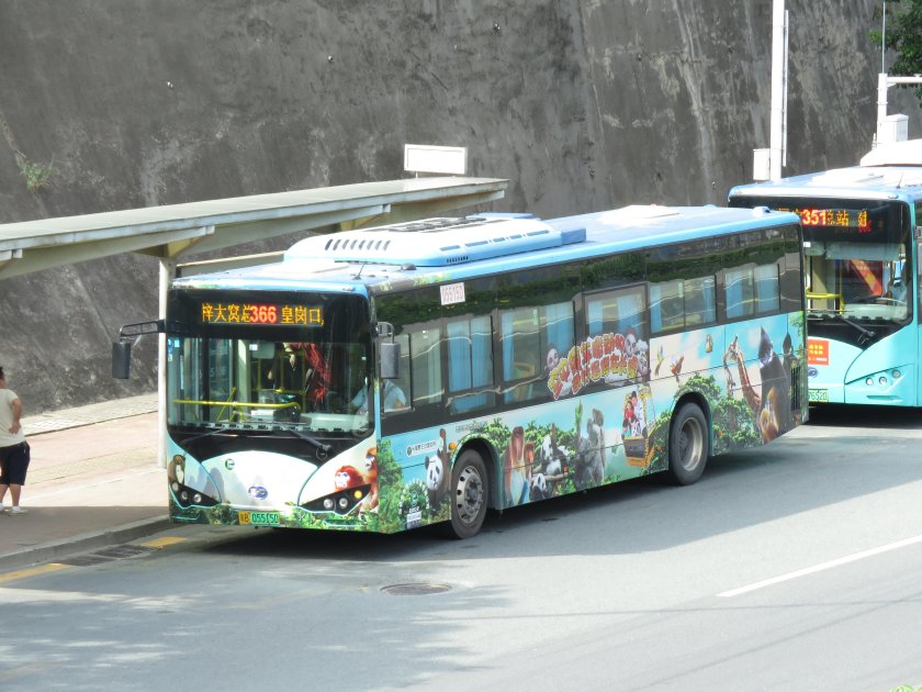 Автобус золотой дракон