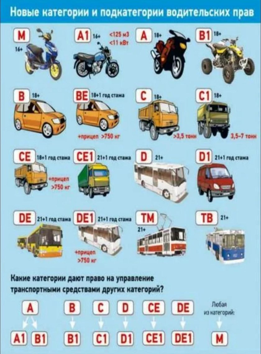 Категории водительских прав с расшифровкой в 2022 году в России