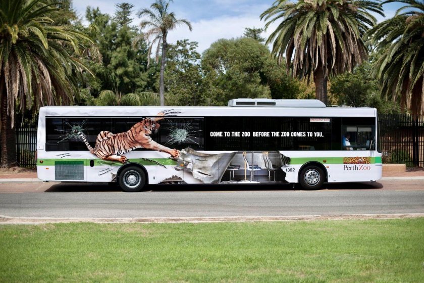 Необычные автобусы