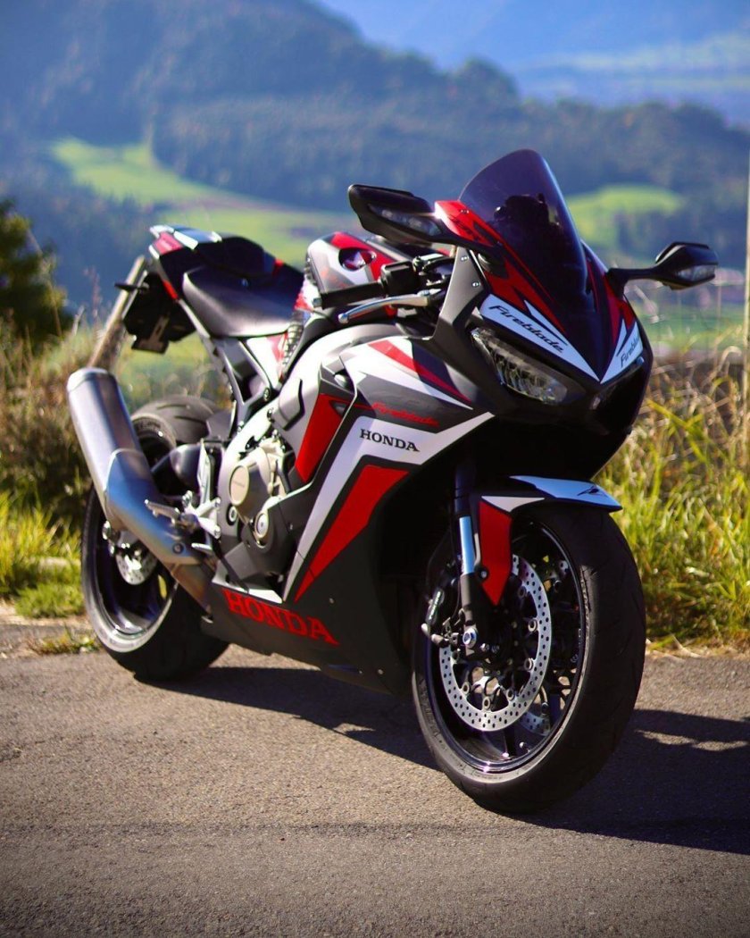 Honda cbr600rr черный в лесу
