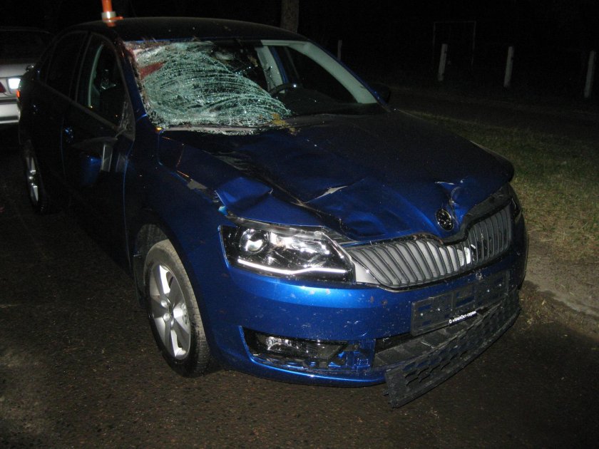 Шкода Рапид битая