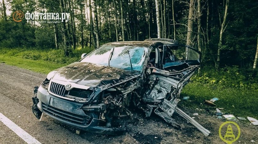 Разбитая Шкода Октавия а5 серая