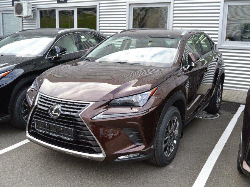 Lexus NX 200 коричневый