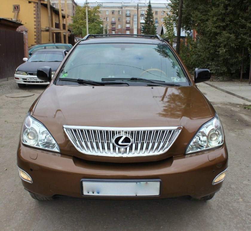 Коричневый металлик RX 300