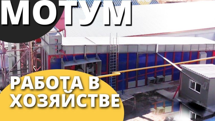 Конвейерная зерносушилка Motum