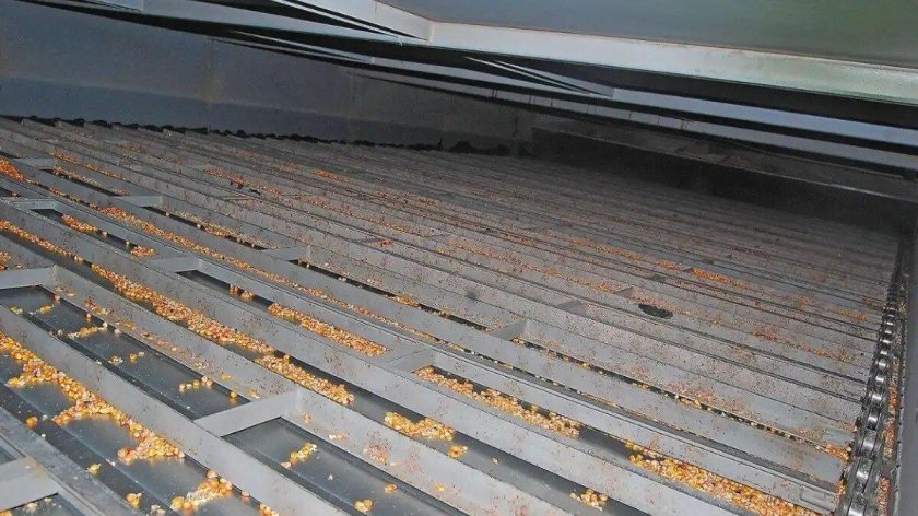 Конвейерная зерносушилка