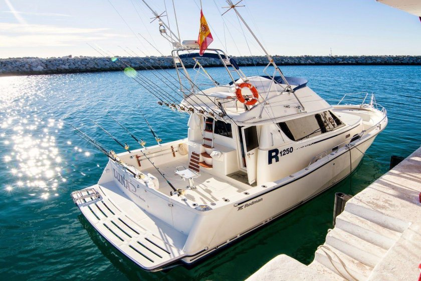 Катер Родман