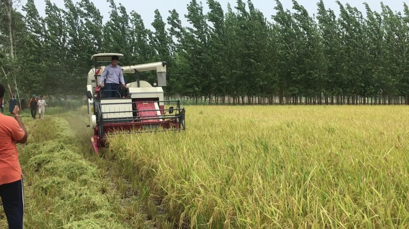 Комбайн в поле фото