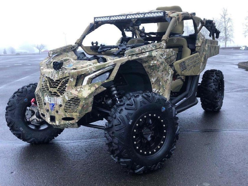 Багги Поларис RZR 1000