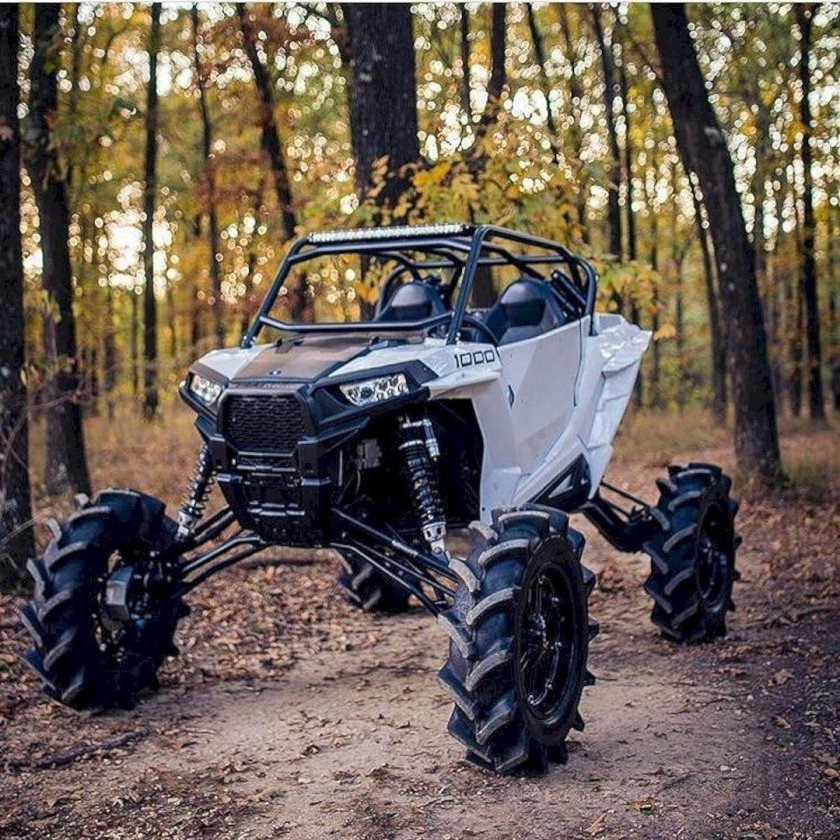 Трофи багги 4x4