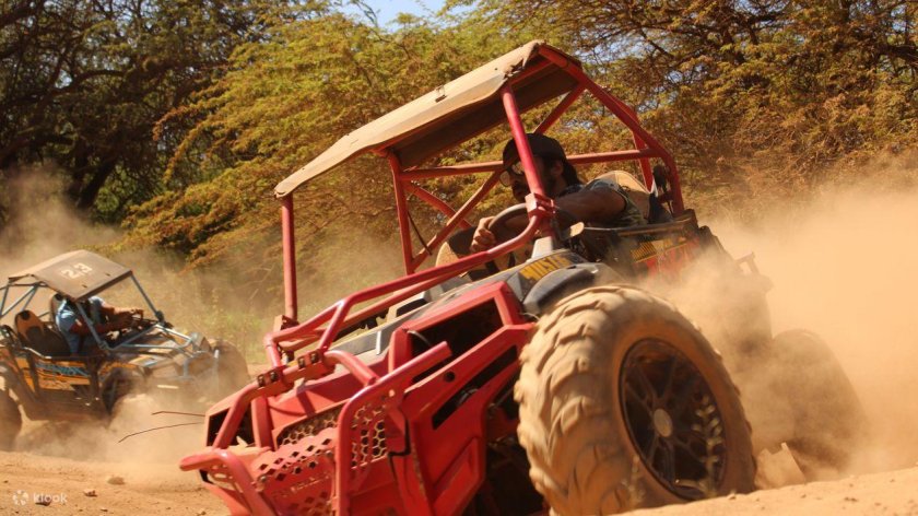 Багги сафари