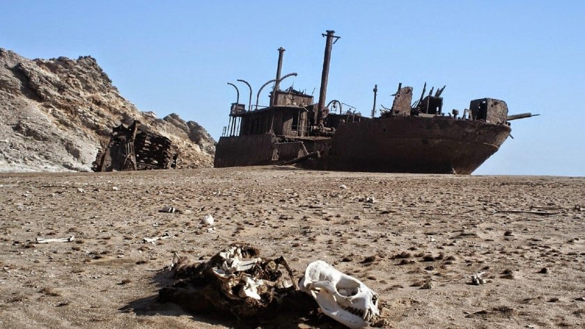 Пустыня Намиб берег скелетов