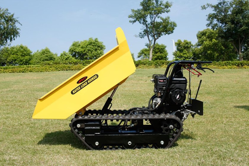 Гусеничный мини-думпер Ant by-800w2