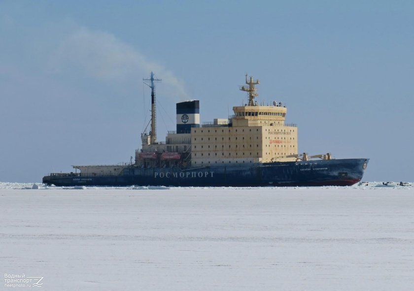 Морские суда