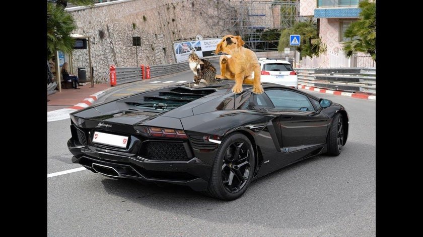 Lamborghini Aventador lp700-4 Black