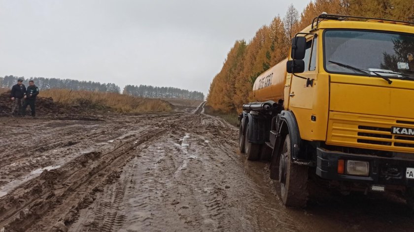 Экология дорога