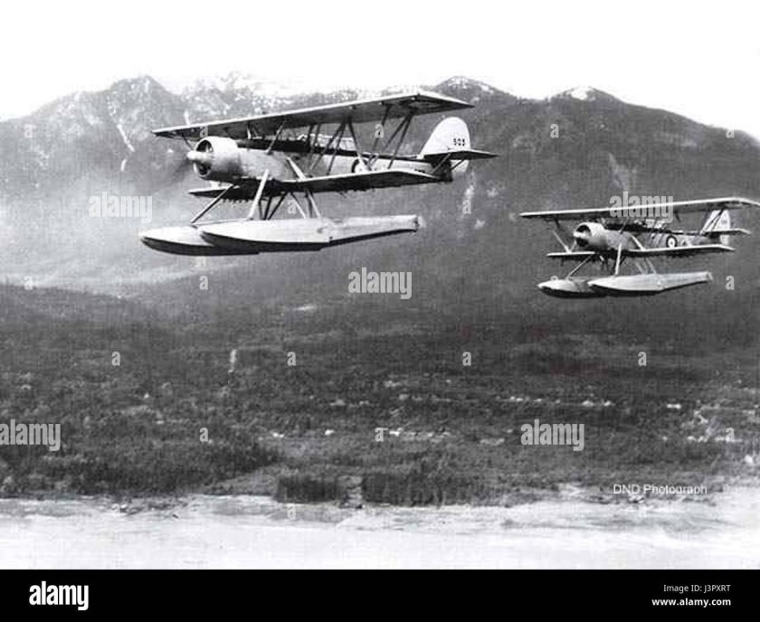 Блэкберн Шарк