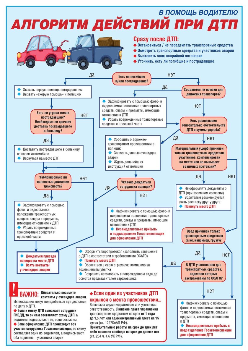 Дорожно-транспортные происшествия. Алгоритм действий при ДТП