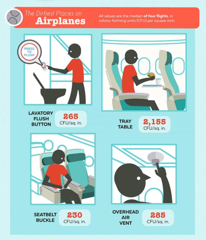 Lavatory перевод