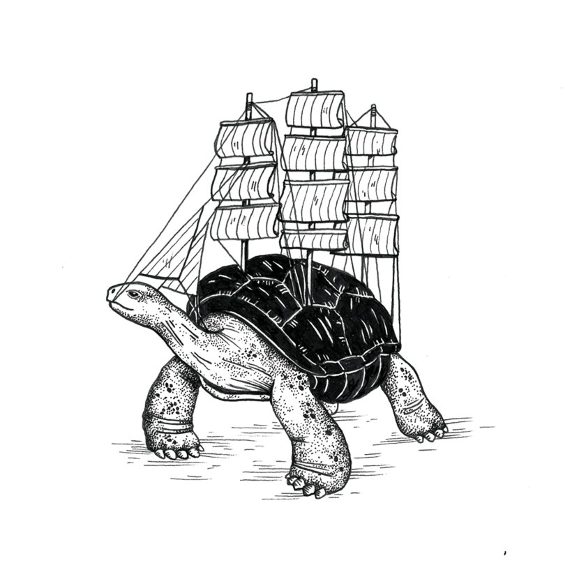 Черепаха рисунок