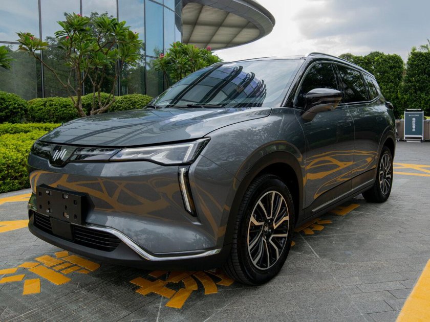 Weltmeister машина