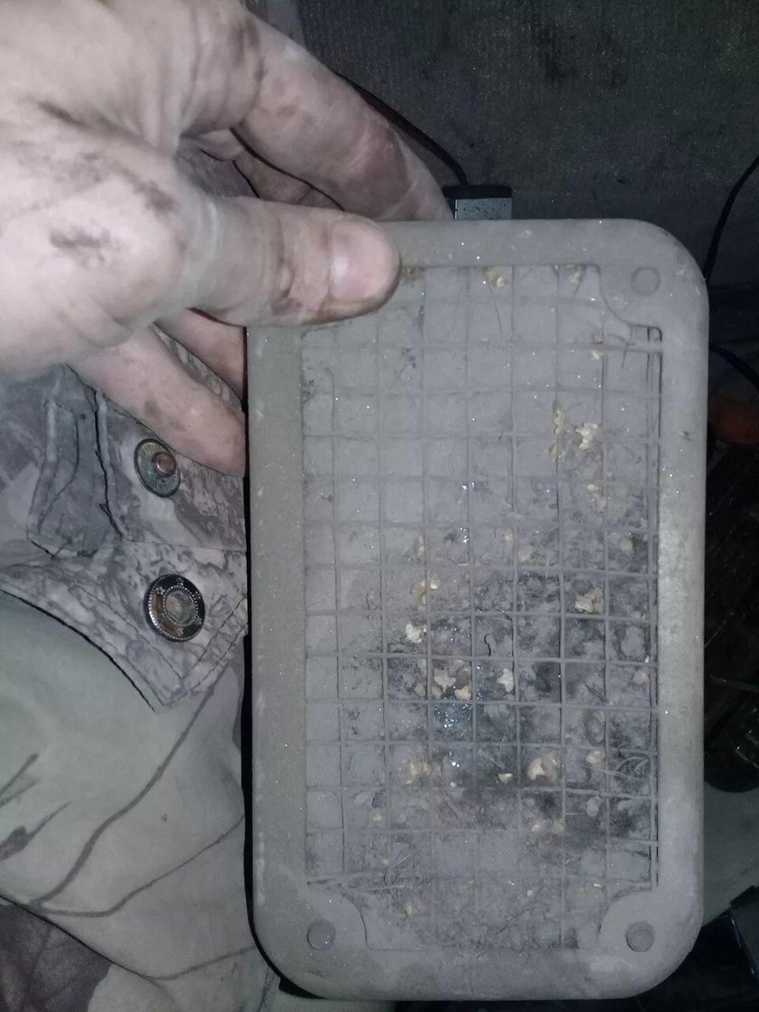 Салонный фильтр Дервейс Аврора