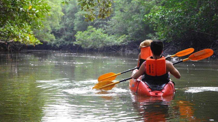 Краби по реке