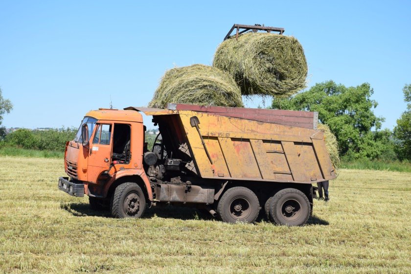КАМАЗ 4310 возит сено