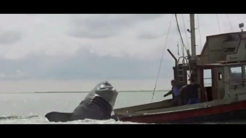 Акула нападает на корабль