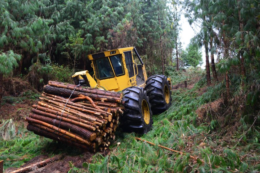 Чокерный трелевочный трактор