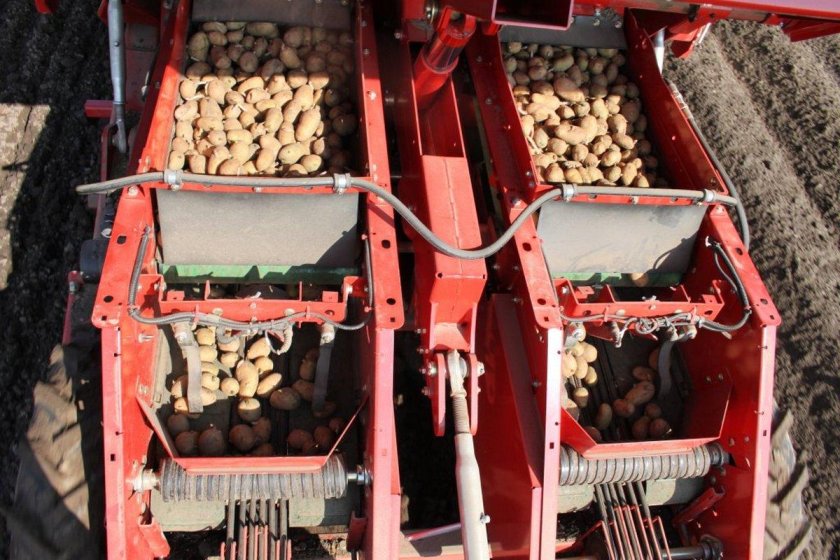 Машина для сортировки картофеля