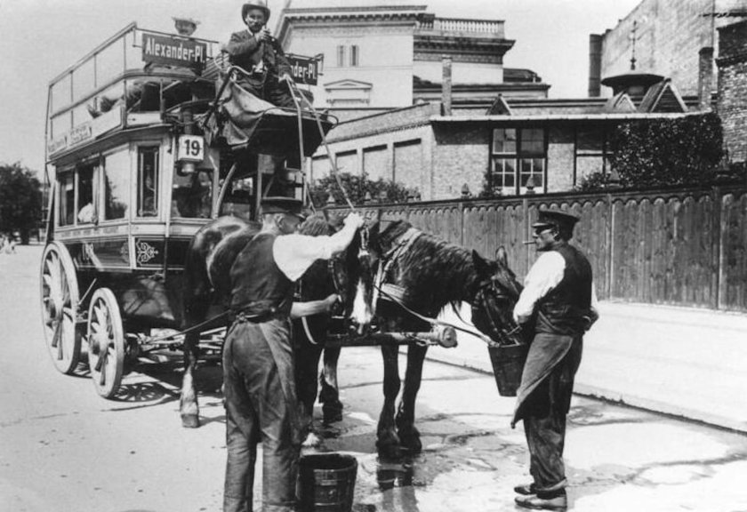 Омнибус 19 века в Петербурге