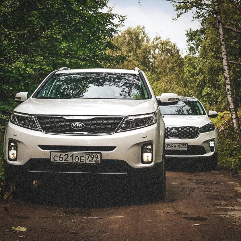 Киа Соренто и панфайдера