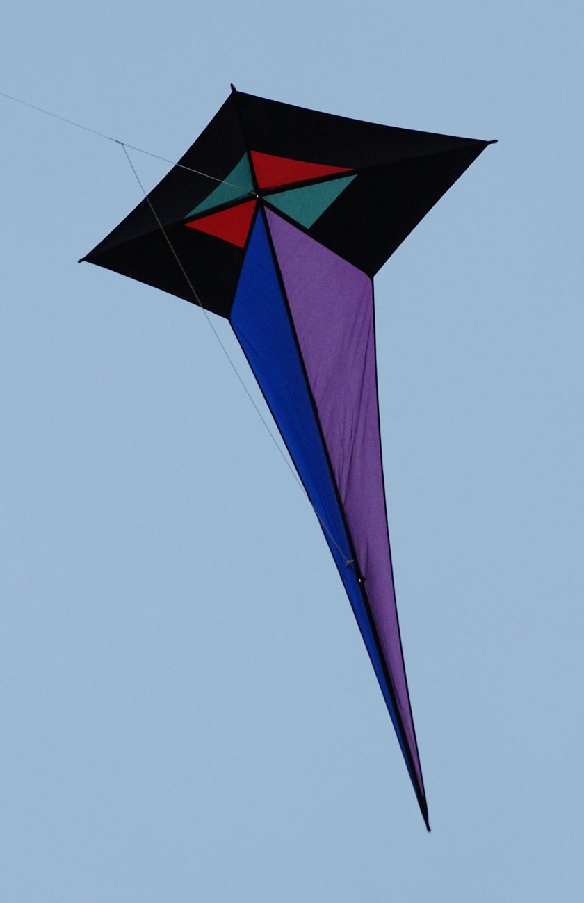 Спортивный воздушный змей